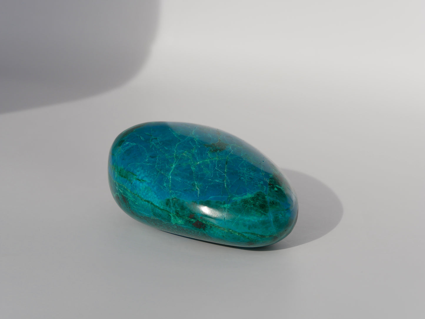 Grande Chrysocolle roulée