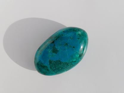 Grande Chrysocolle roulée