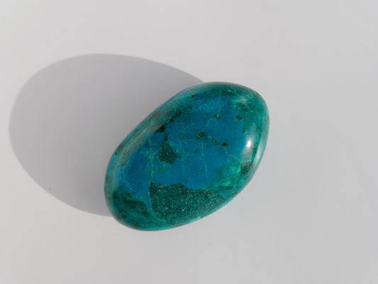 Grande Chrysocolle roulée