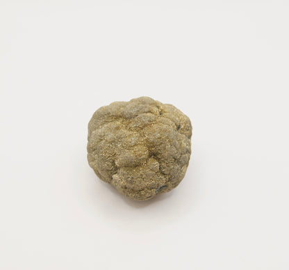 Nodule de Pyrite