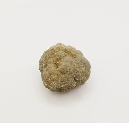 Nodule de Pyrite