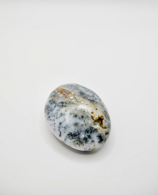 Agate dendritique galet