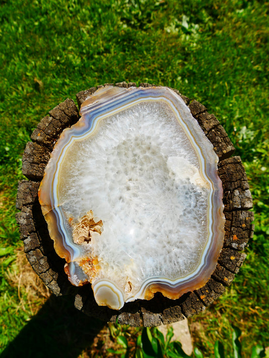 Porte savon Agate