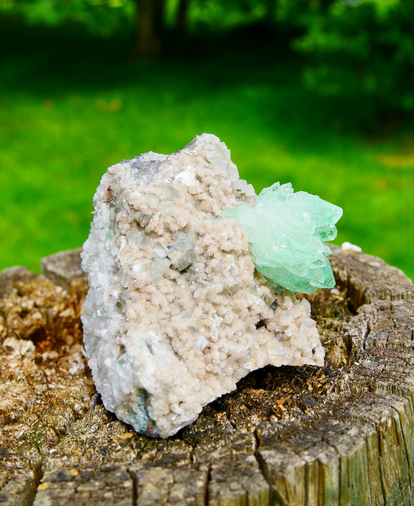 Apophyllite verte