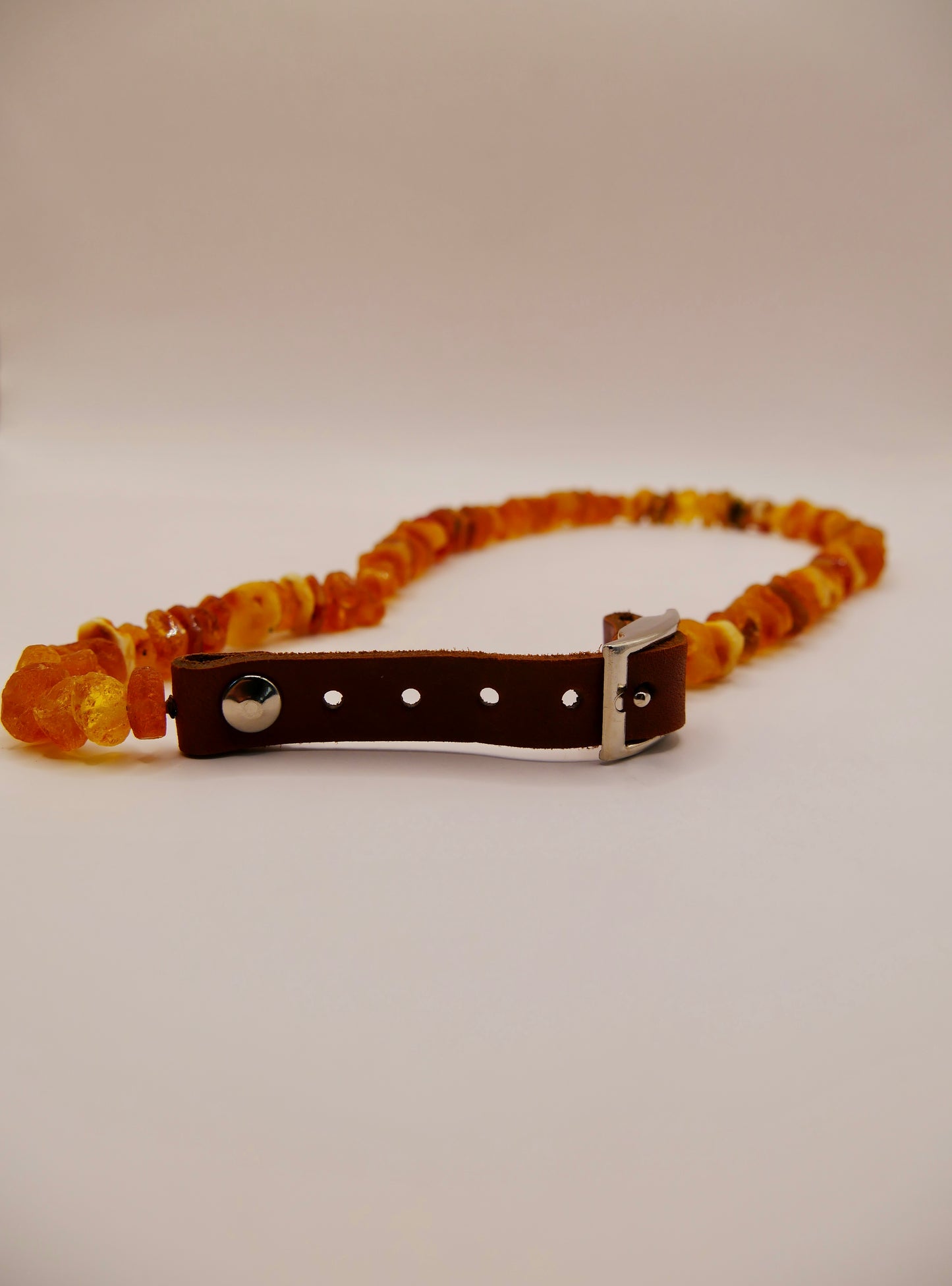 Collier en Ambre pour chiens