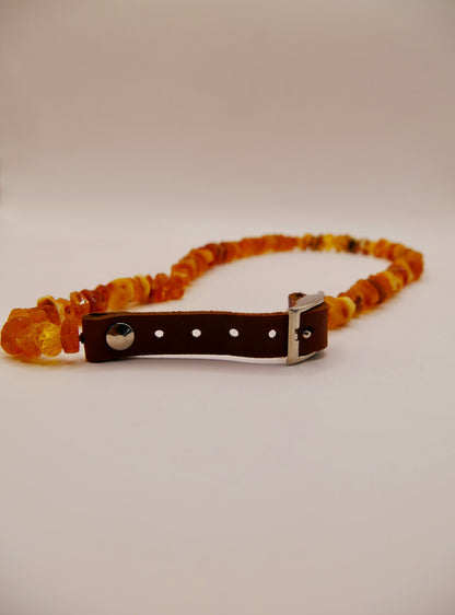 Collier en Ambre pour chiens